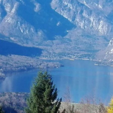 Apartmán Apartmaji Korosec Na Koprivniku Koprivnik v Bohinju Exteriér fotografie