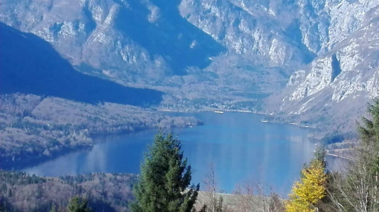 Apartmán Apartmaji Korosec Na Koprivniku Koprivnik v Bohinju Exteriér fotografie